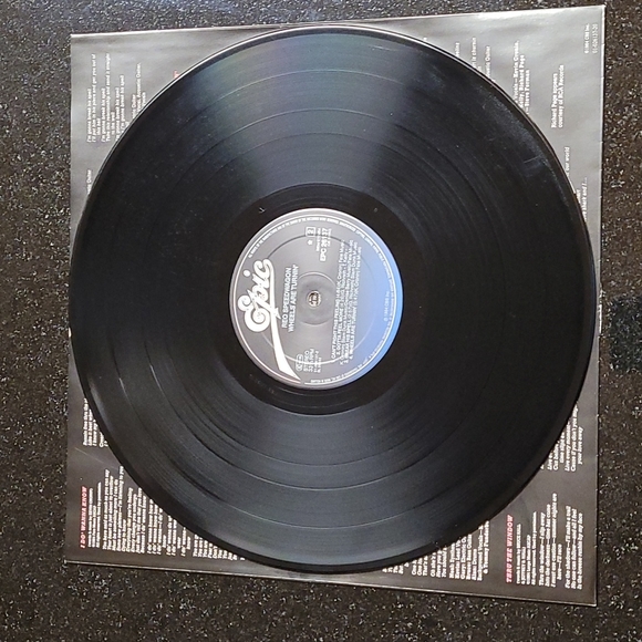 🇩🇪1984 REO SPEEDWAGON Album - Picture 8 of 11